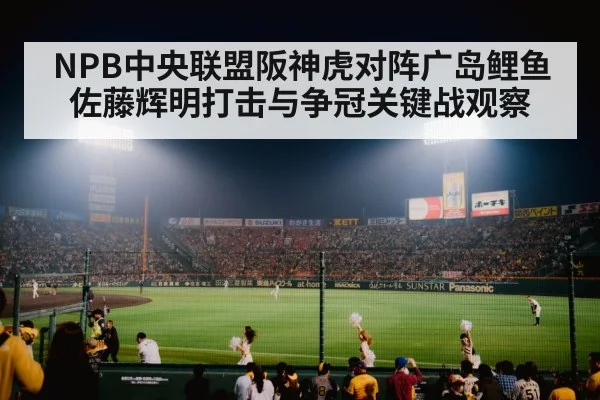 baseball stadium crowd night